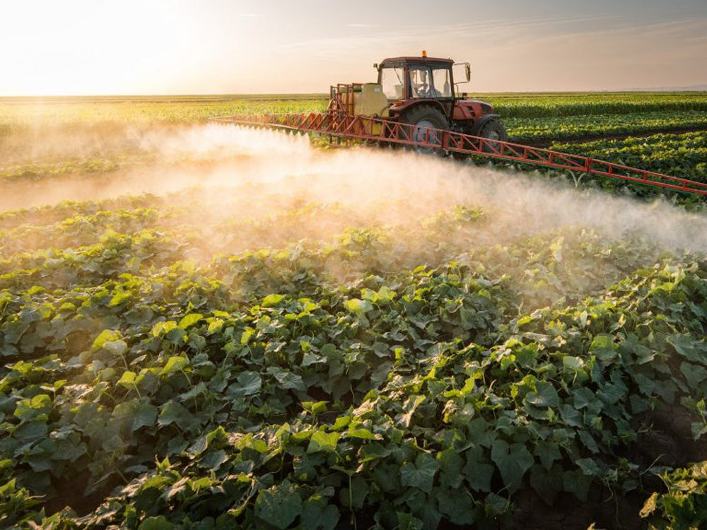 Why Nutrapath products are pesticide free